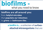 Biofilms: What you need to know