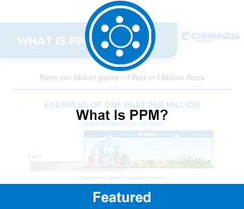 Infographic: What Is PPM?