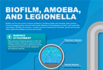 Biofilm, Amoeba, and Legionella