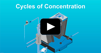 VIDEO: Cycles of Concentration